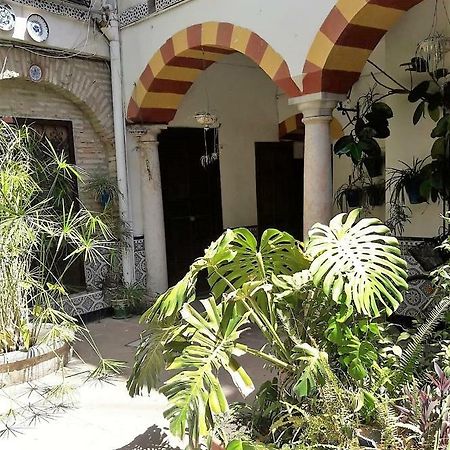 Apartamentos Abderraman I Cordova Esterno foto