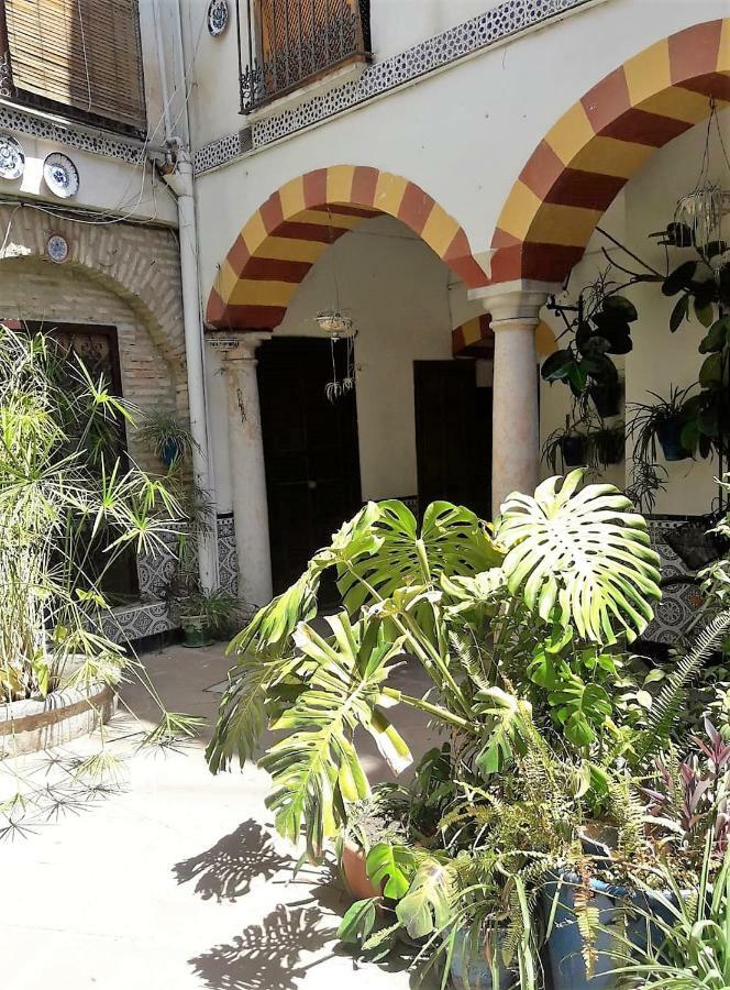Apartamentos Abderraman I Cordova Esterno foto